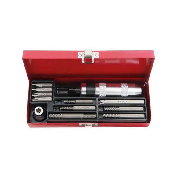 AmPro: 12Pc Impact Screw & Extractor Set -  T17207