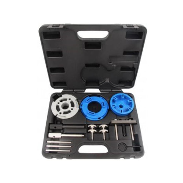AmPro: Diesel Engine Setting Locking & Injection Pump Repair Kit -  T75154
