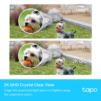 Smart Wire-Free Security Camera System, 1-Camera System