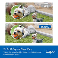 Smart Wire-Free Security Camera System, 2-Camera System