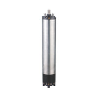 C.R.I Pumps 8\