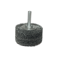 Wire Werner Mounted Wheel 50 X25 Mm Mw912 Wrn0175