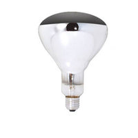 INFINITI  250W Globe Screw In - XPMK4025