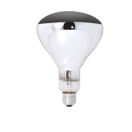 INFINITI  250W Globe Screw In - XPMK4025