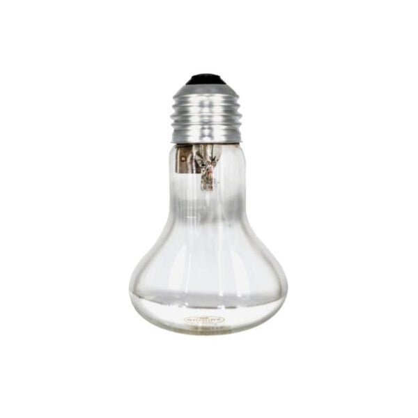 BCE Lamp R63 Spotlight 60W E27/Es - XULM0063
