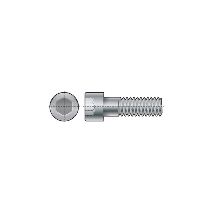 M12x100mm Socket Head Cap Screw BZP (Zinc Plated) GR-8.8 Bolt - High Tensile Fastener