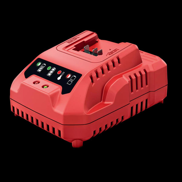 Flex 10.8V Charger 418021