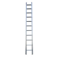 LADDER 6M STEEL/ALUM PUSH UP  - TOOL1208