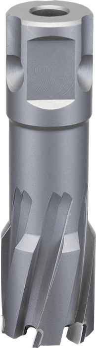 Bosch Wood auger bits - Hexagon Wood auger bit 12 x 360 x 450, 6,35 mm - SKU: 2608597642