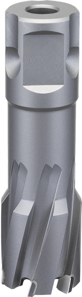 Bosch Wood auger bits - Hexagon Wood auger bit 22 x 360 x 450, 111, mm - SKU: 2608597647
