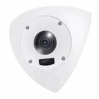 Indoor/Outdoor Corner 5MP Dome AI Camera; 10M IR; Mic; Anti-Ligature Design